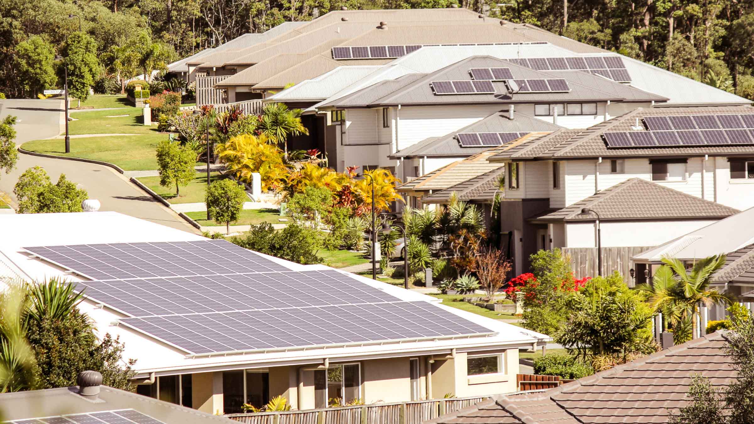 Suburban street, lined with bungalows, the majority of them have solar panels installed. Surrounded by green trees and bushland.