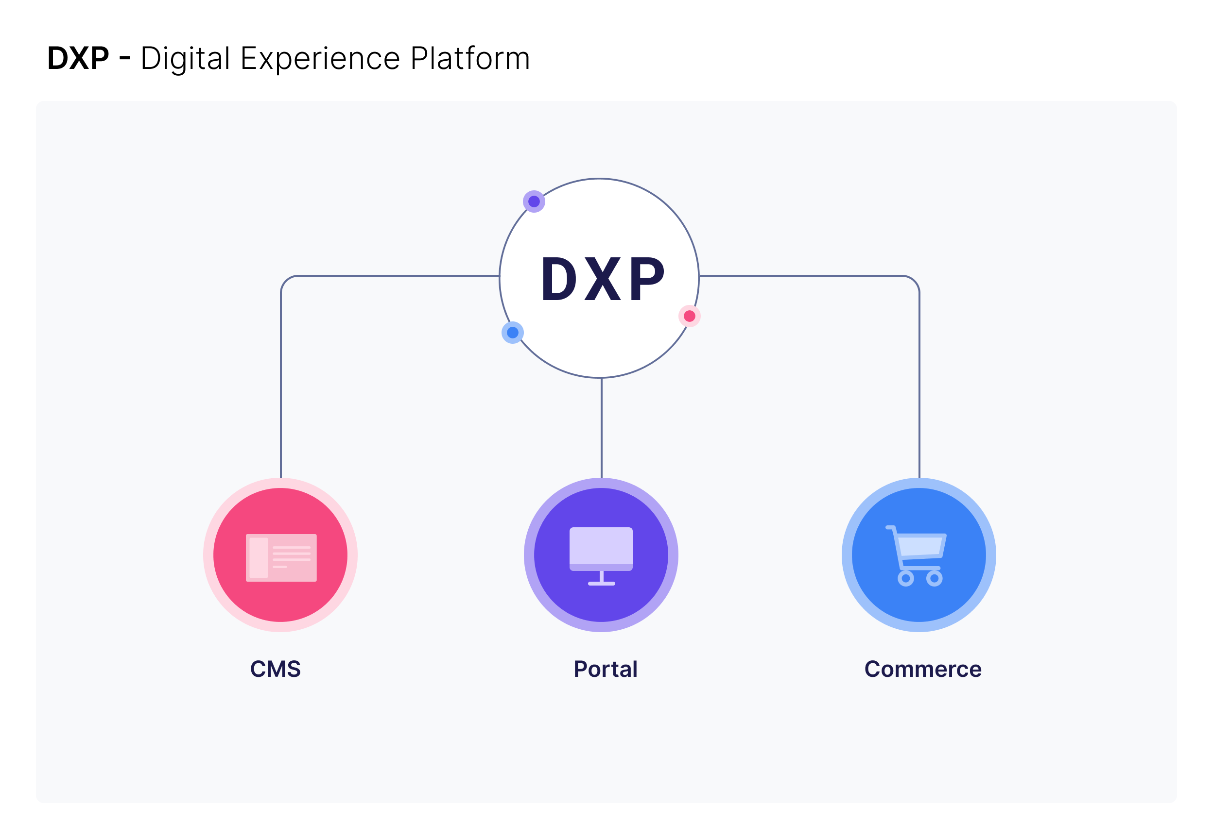 What is a DXP_.png