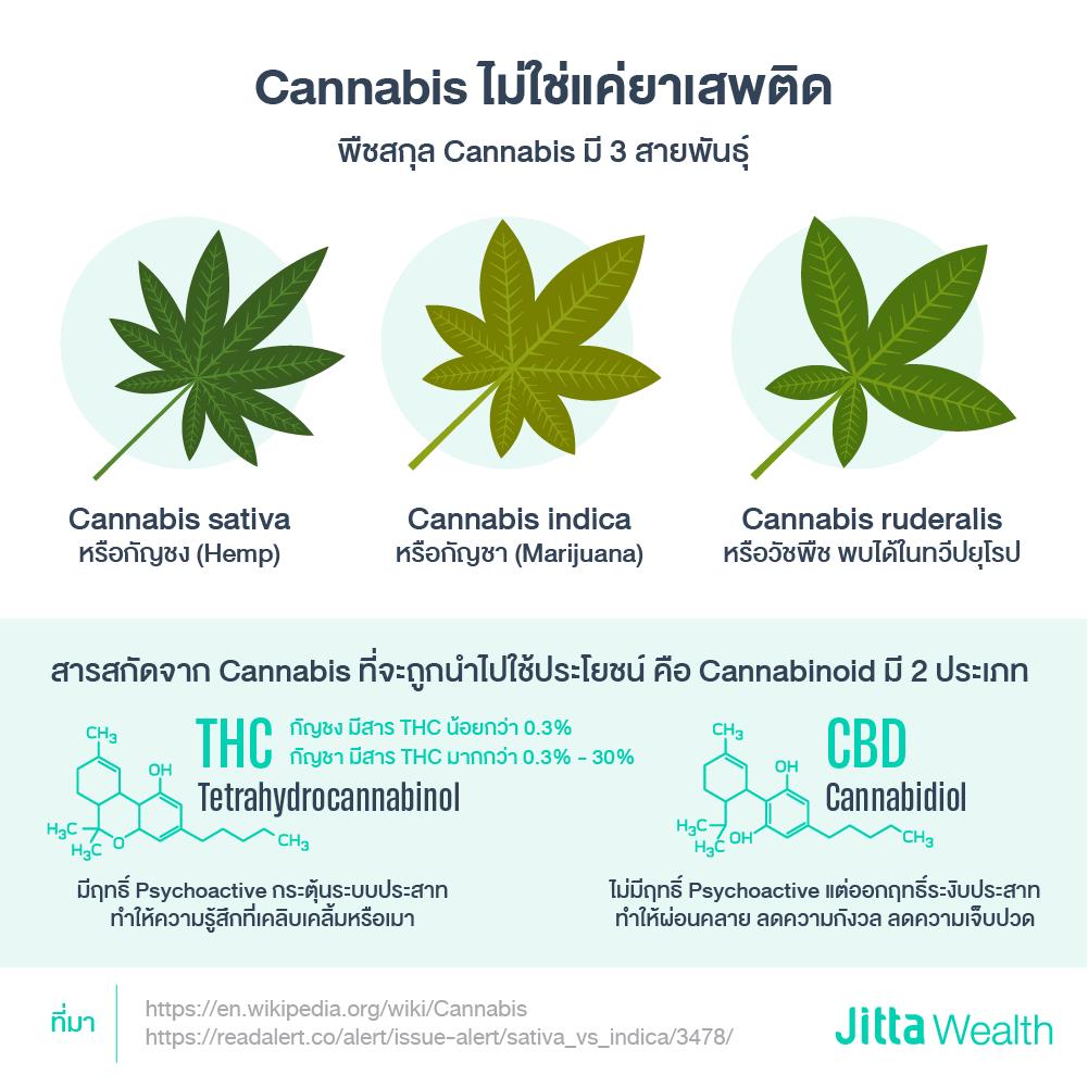 Cannabis_article-02.png
