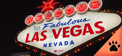 Las Vegas, Nevada: l'inizio di una leggenda | LeoVegas