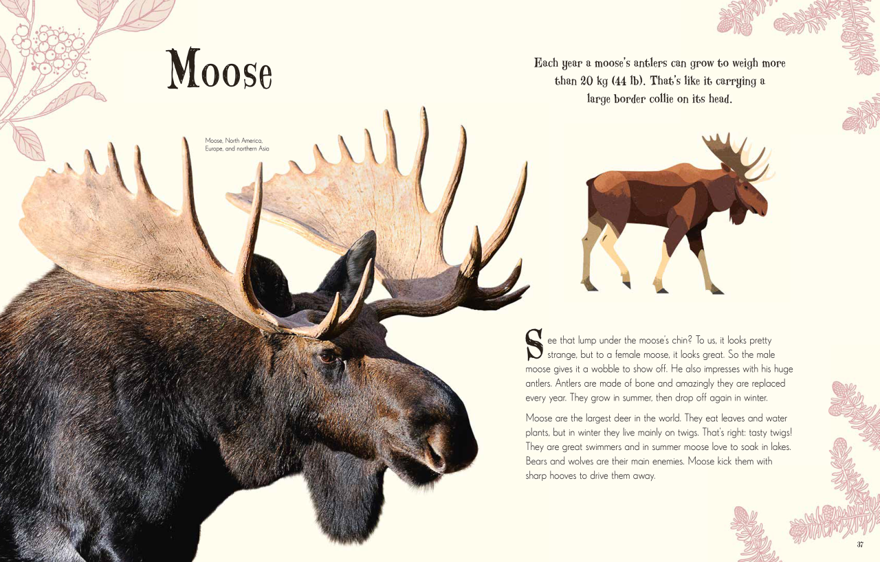 moose.png