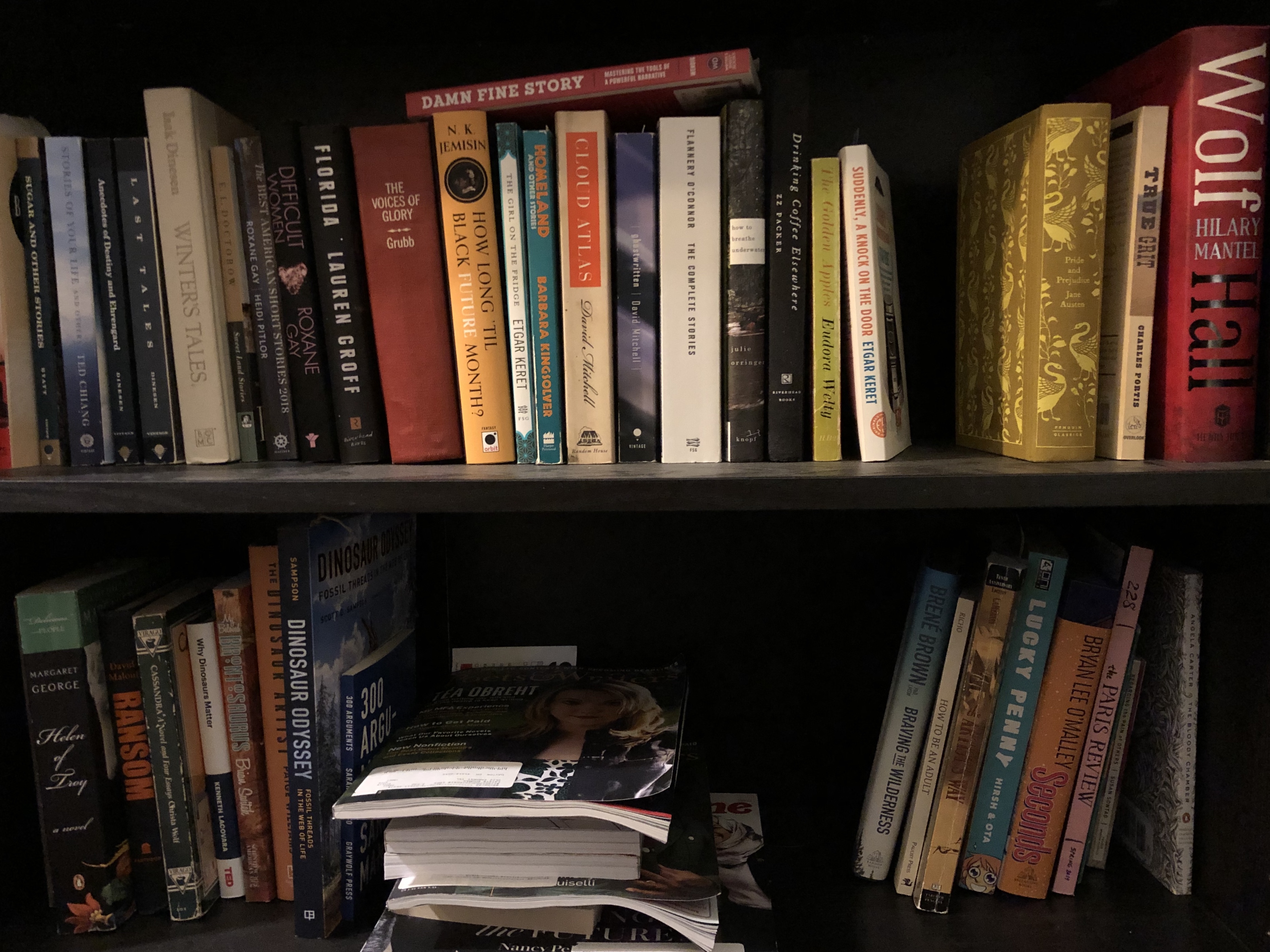 A picture of the shelves where I keep my curated set of books