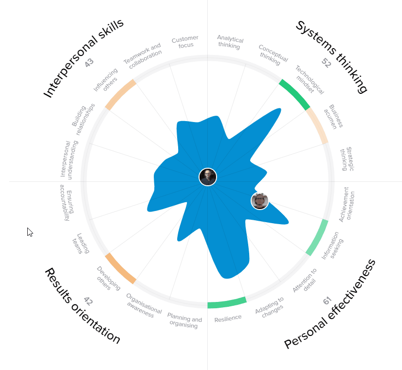 competency map - Teamscope.gif