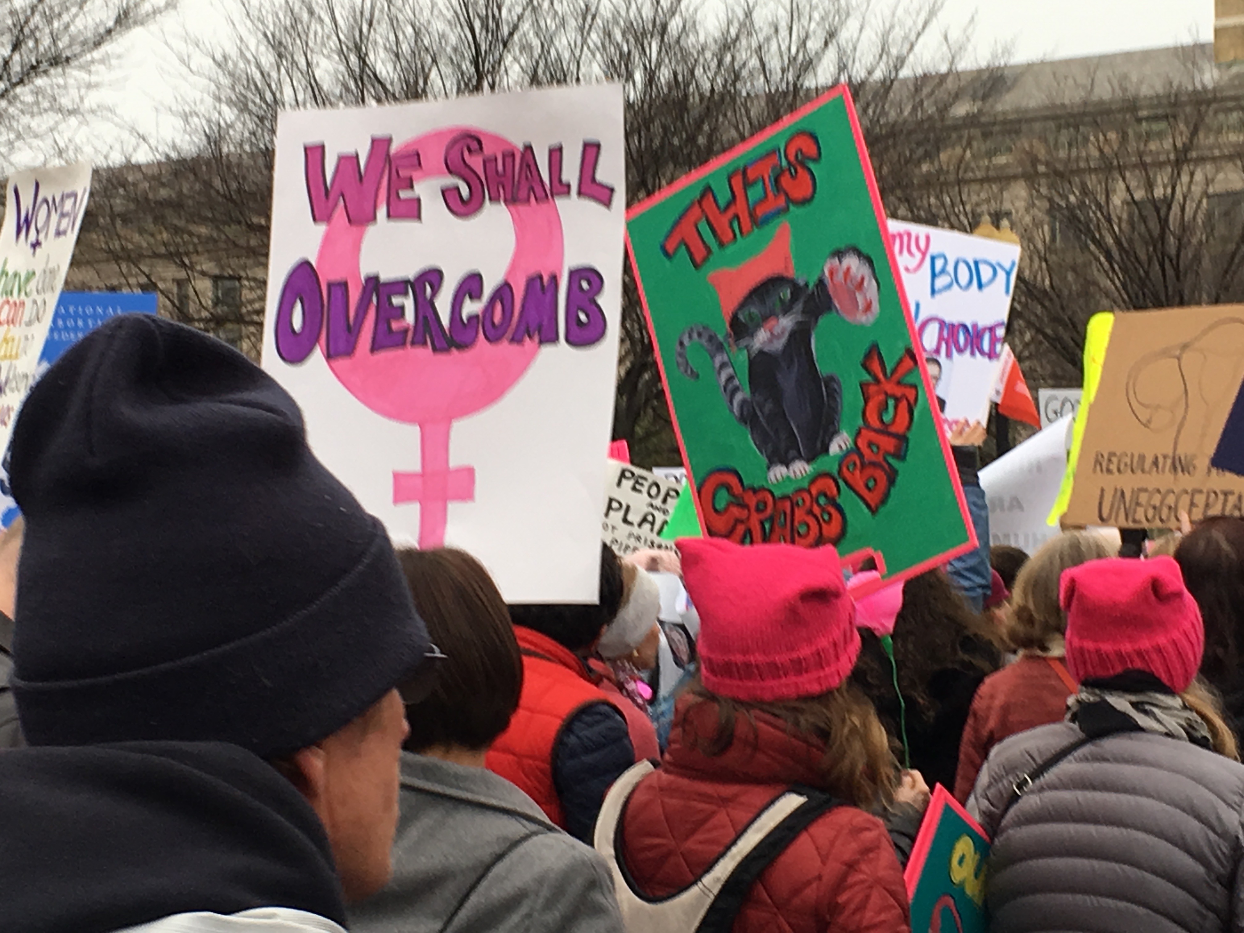 A sign with a feminine symbol that reads "We shall overcomb"