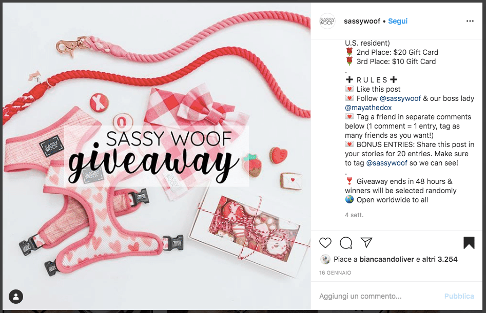 1. Example of Instagram competition.png