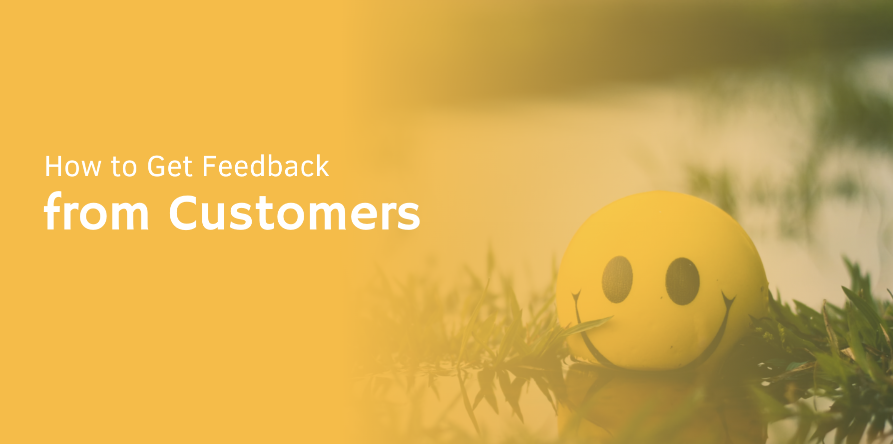 How to Get Quality Feedback from Customers (+ email example)