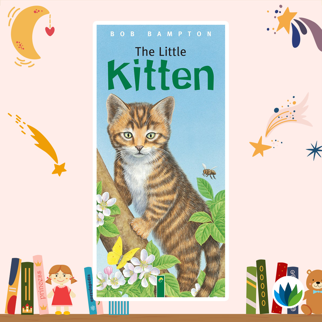 Little Kitten_Banner.jpg