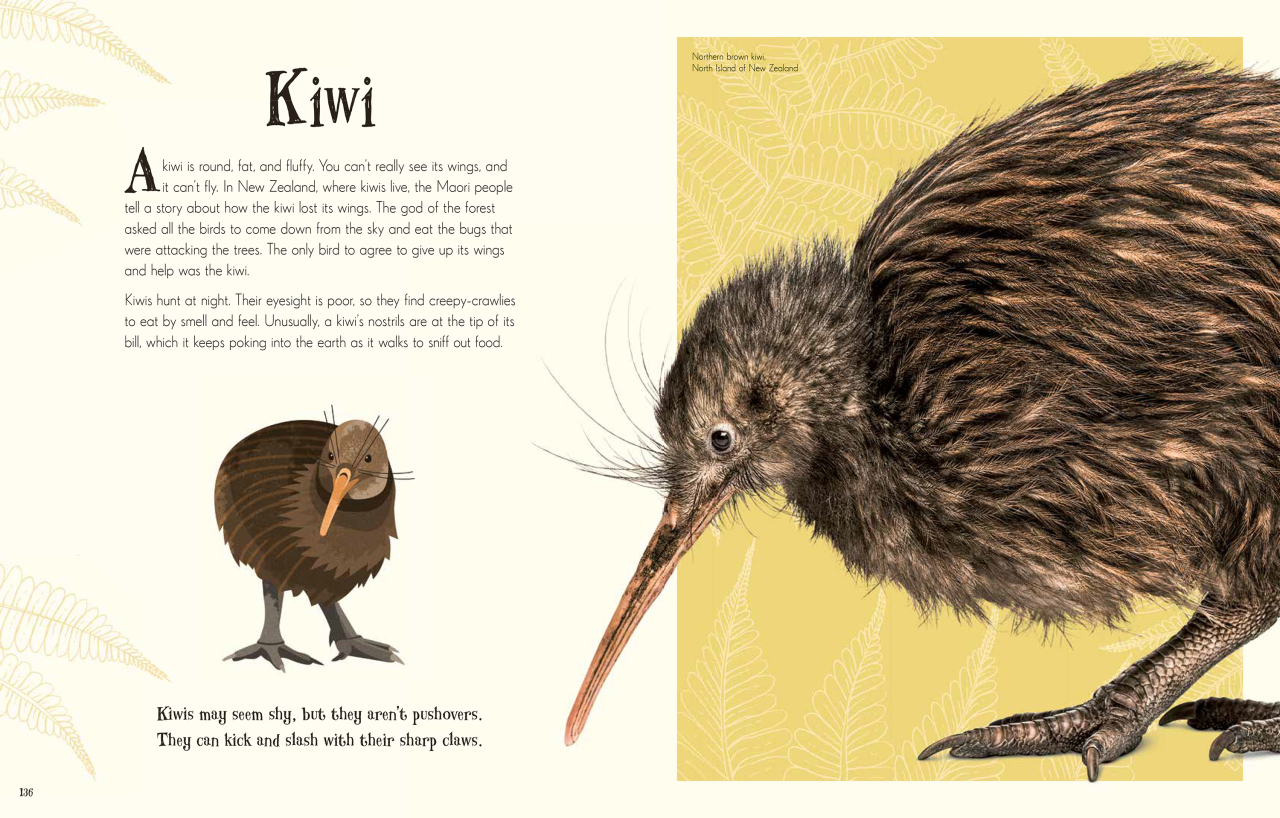 kiwi.png