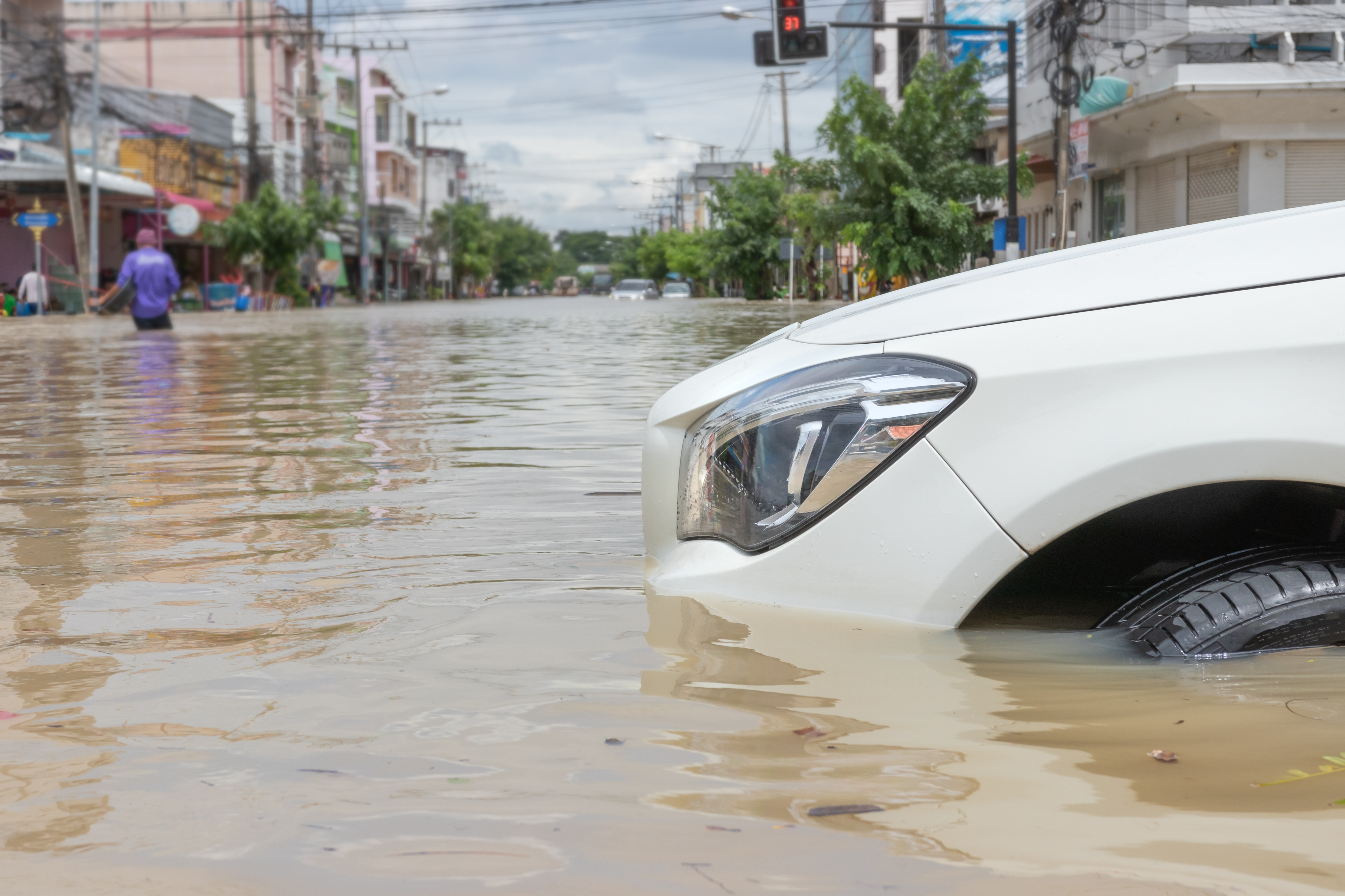 How to Tell if a Used Car has Flood Damage