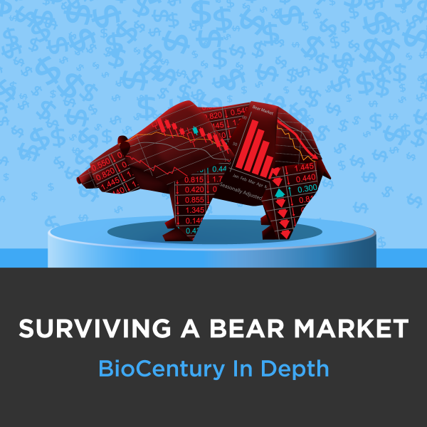 Surviving a Bear Market Image