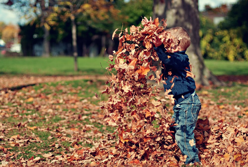 A kid playing in the leaf reminding us not to forget how to play.