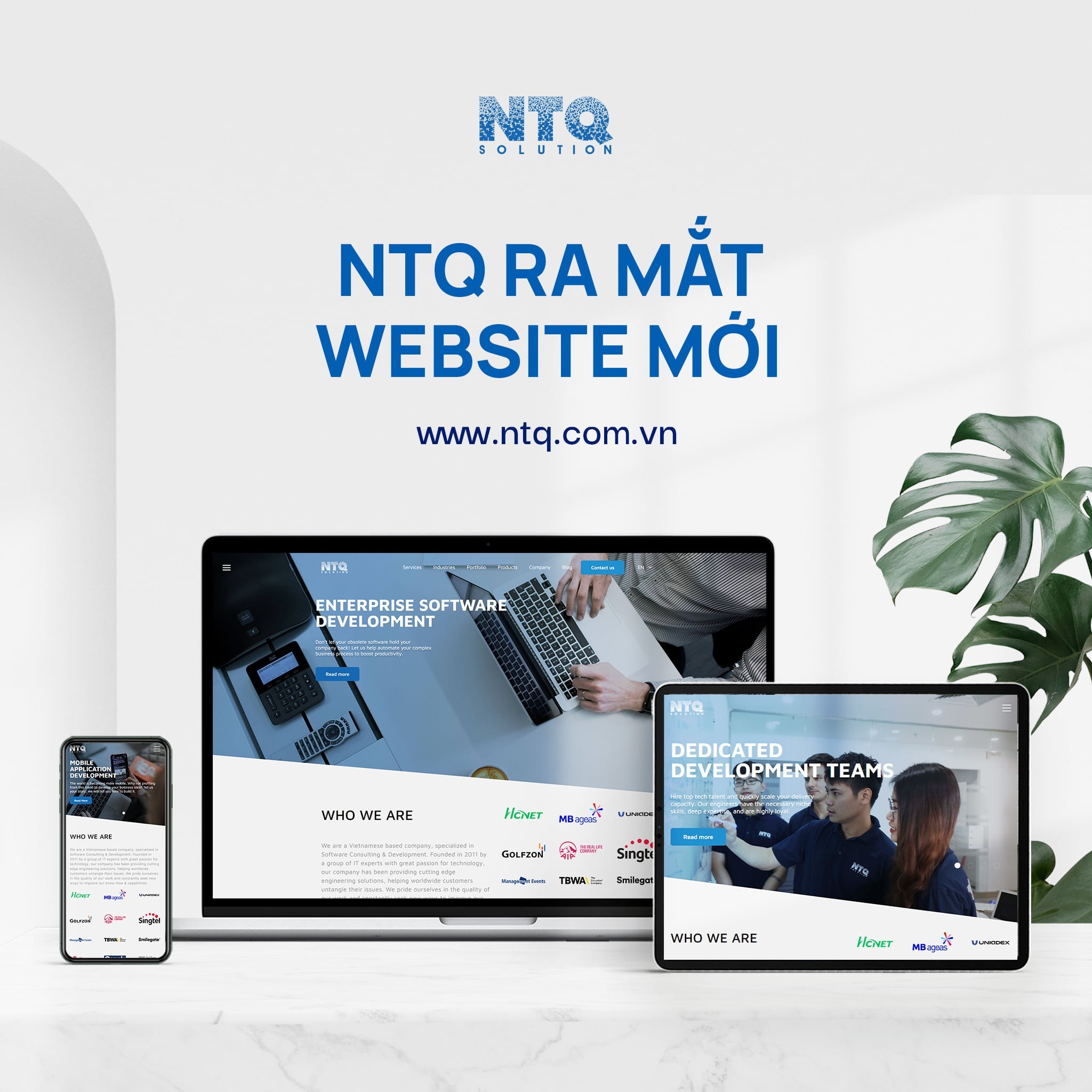 NTQ solution new website