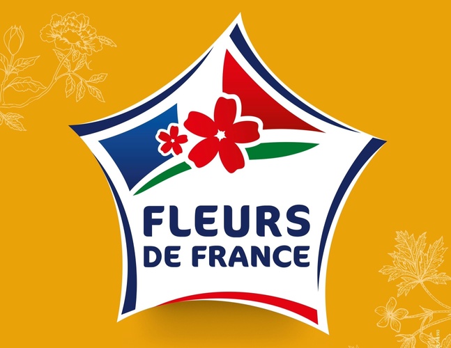 Fleur de France