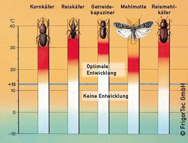 diagramm_insekten.jpg