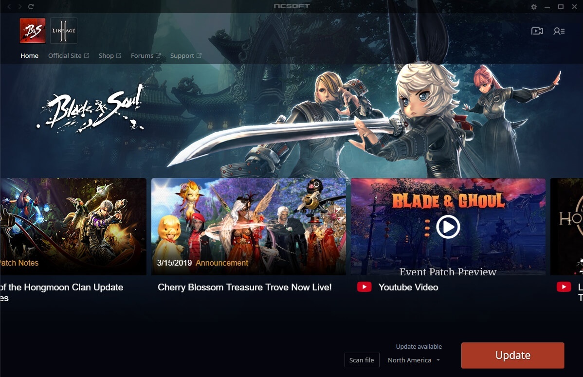 The launcher mode for Blade and Soul
