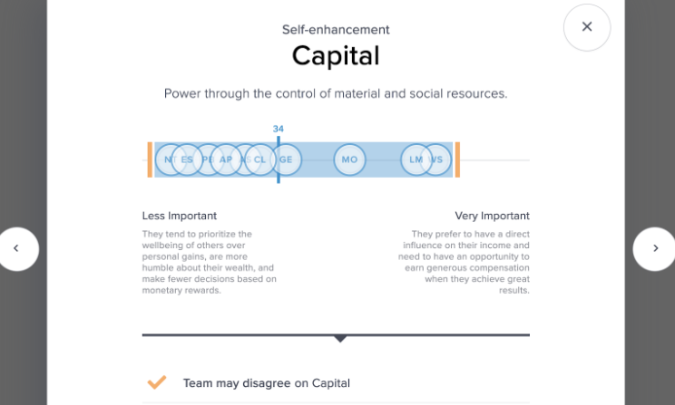 Teamscope Values map - Capital