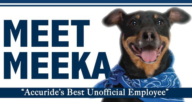 Meet Accuride’s Best Unofficial Employee: Meeka