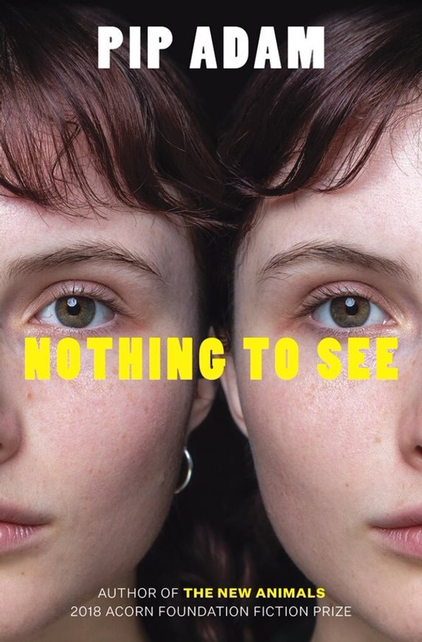 Book cover for Nothing to See