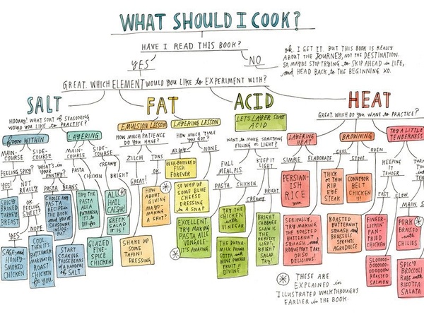 A flow chart titled "what should I cook?" which branches into the categories Salt, Fat, Acid, Heat.