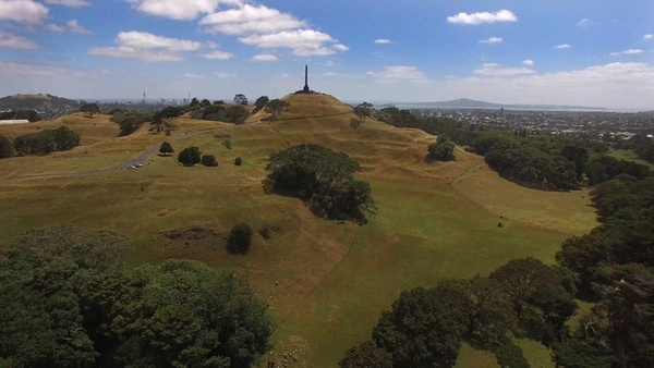 Aerial photo of Cornwall Park, a grassy hill with large pohutukawa trees scattered about