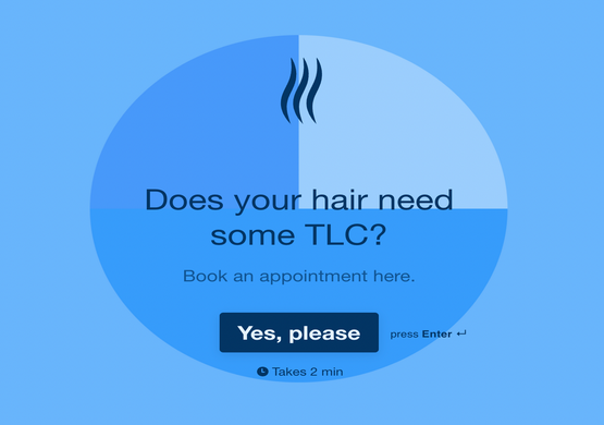 Client Consultation Form for Hair Stylist 