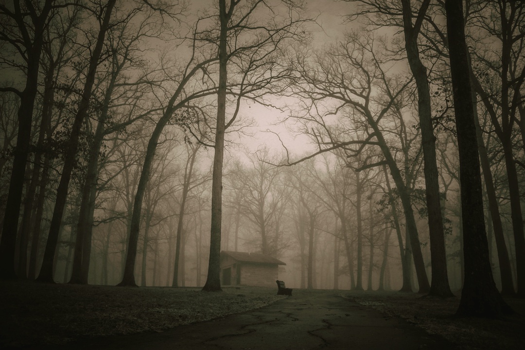Spooky Cabin In The Woods