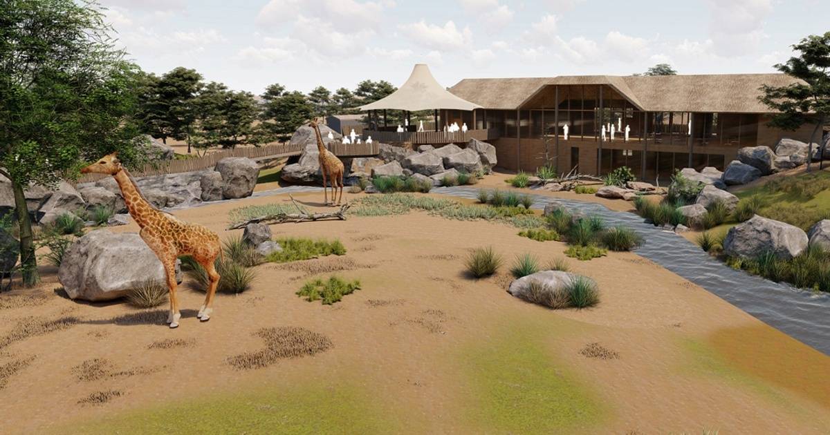 The Caterer - Chester Zoo to open new hotel and restaurant