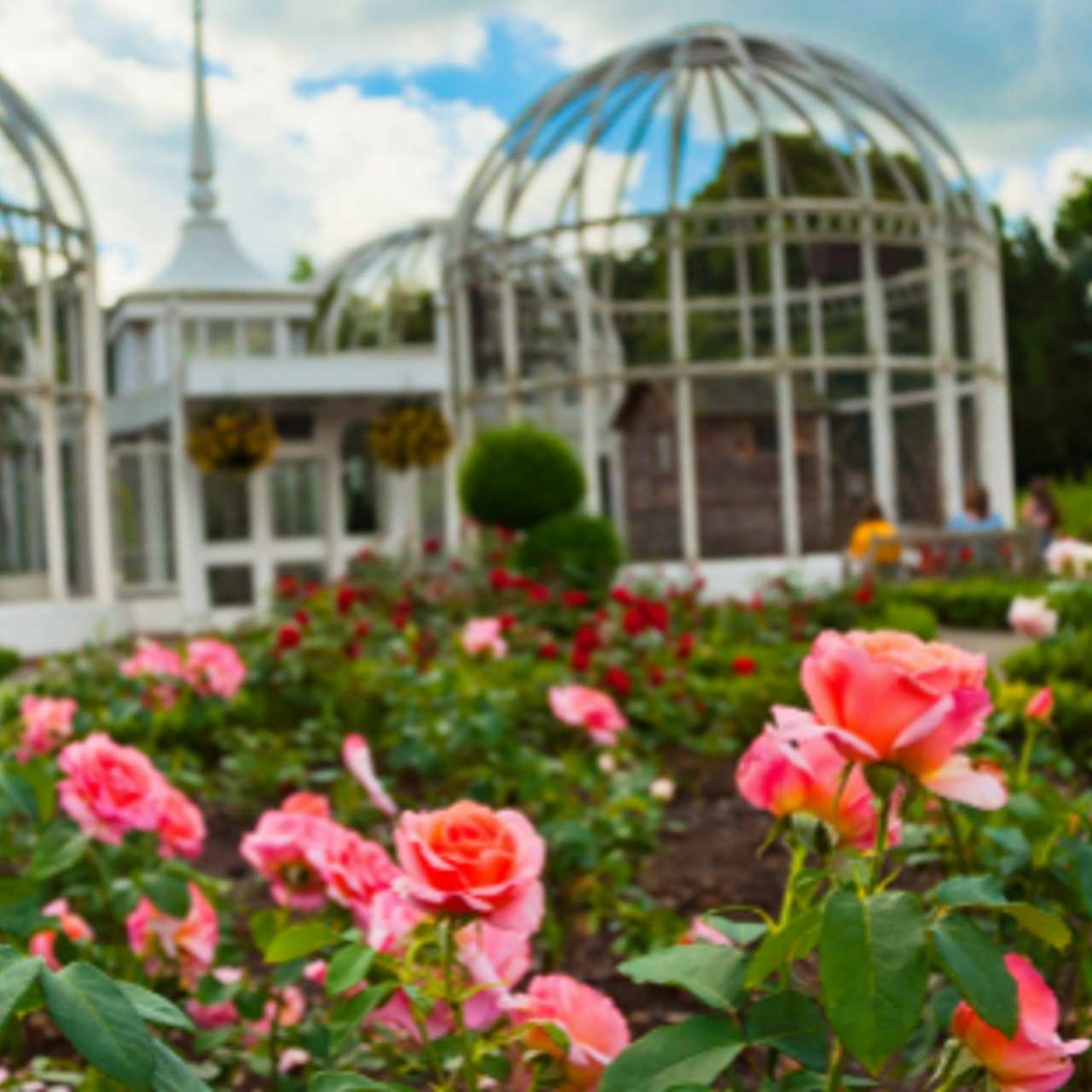 Aramark Picks Up Birmingham Botanical Gardens The Caterer