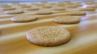McVities 'A Day in the Life of a Digestive Biscuit'