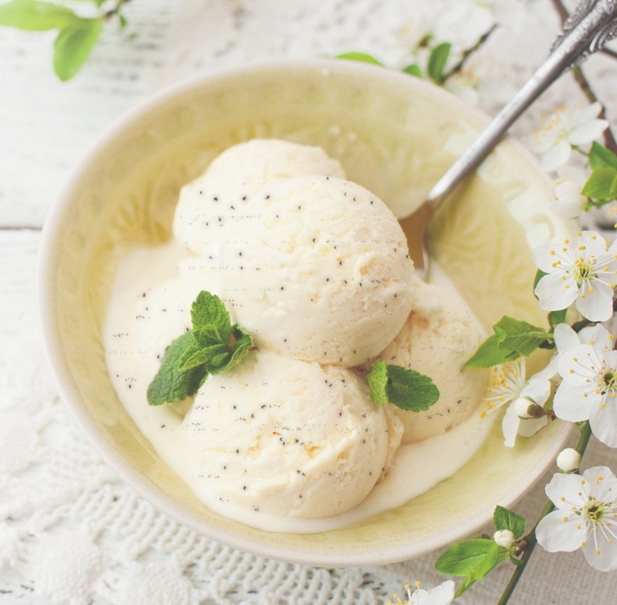 Love Vegan vanilla ice cream from Suncream Ice Cream