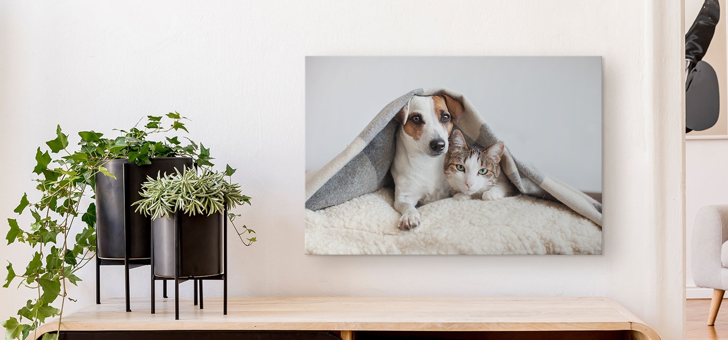 A canvas print depicting a dog and cat snuggled together under a blanket