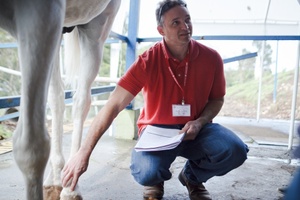 Chi instructor teaches equine rehabilitation