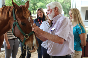 CVA | Dr. John Langlois acupunctures a horse at Chi.