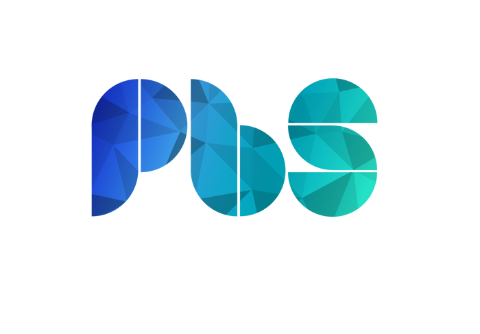 Senior Fullstack Developer at Port Blue Sky