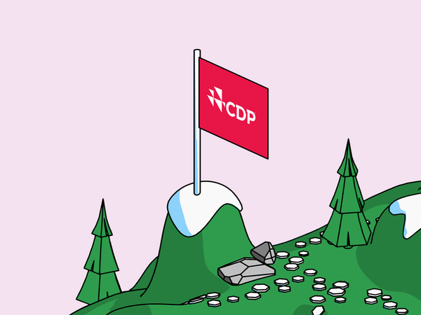 Flag with CDP logo