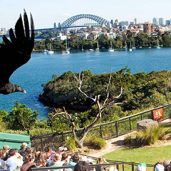 Taronga-Zoo-Sydney.jpg